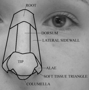 Nasal Reconstruction in Beverly Hills | Nose Surgery | Dr Zoumalan